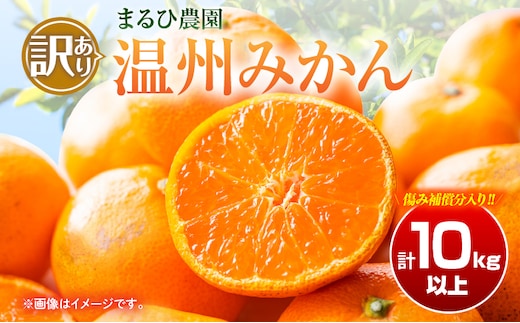 訳あり 温州 みかん 計10kg以上 傷み補償分入り まるひ農園 フルーツ 果物 くだもの 柑橘 ミカン 国産 食品 デザート おやつ スイーツ おすすめ ご家庭用 訳アリ ワケあり おすそ分け 新鮮 産地直送 宮崎県 日南市 送料無料_BB174-26