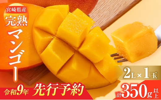 先行予約 宮崎県産 完熟マンゴー 2L×1玉 計350g以上 フルーツ スイーツ 果物 くだもの 食品 グルメ デザート 国産 産地直送 おすすめ おやつ ご褒美 贈り物 ギフト プレゼント 令和9年発送分 宮崎県 日南市 送料無料_BAV16-26