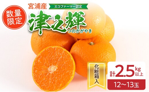 津之輝 計2.5kg以上 化粧箱入り 先行予約 令和8年発送 期間限定 数量限定 国産 食品 果物 くだもの フルーツ 柑橘 みかん 蜜柑 M L 混合 デザート おやつ ジュース おすすめ プレゼント ギフト 贈答 贈り物 つのかがやき 濃厚 常温 宮崎県 日南市 送料無料_BA69-23