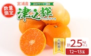 津之輝 計2.5kg以上 化粧箱入り 先行予約 令和8年発送 期間限定 数量限定 国産 食品 果物 くだもの フルーツ 柑橘 みかん 蜜柑 M L 混合 デザート おやつ ジュース おすすめ プレゼント ギフト 贈答 贈り物 つのかがやき 濃厚 常温 宮崎県 日南市 送料無料_BA69-23