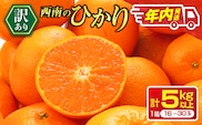 年内お届け 先行予約 訳あり 西南のひかり 5kg 希少 2026 12月発送 不揃い フルーツ くだもの 果物みかん 柑橘 蜜柑 オレンジ 国産 食品 デザート おやつ みかんジュース おすそ分け 家庭用 おすすめ 常温 選べる 宮崎県 日南市 送料無料_BC168-26