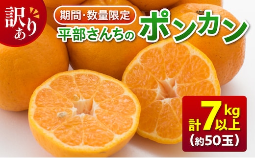 訳あり 平部さんちのポンカン 計7kg以上 先行予約 期間限定 数量限定 フルーツ 果物 くだもの 柑橘 みかん 蜜柑 わけあり 国産 食品 おやつ デザート みかんジュース フルーツサンド おすすめ ご家庭用 おすそ分け 産地直送 宮崎県 日南市 送料無料_BA60-23