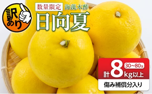 先行予約 訳あり 海藻木酢 日向夏 小夏 計8kg以上 傷み補償分入り 期間限定 数量限定 フルーツ 果物 くだもの 柑橘 みかん 訳アリ 国産 食品 デザート おやつ おすそ分け おすすめ ご家庭用 ご自宅用 B品 傷 マーマレード 産地直送 宮崎県 日南市 送料無料_BB179-26