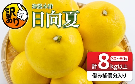 先行予約 訳あり 海藻木酢 日向夏 小夏 計8kg以上 傷み補償分入り フルーツ 果物 くだもの 柑橘 みかん 訳アリ 国産 食品 デザート おやつ おすそ分け おすすめ ご家庭用 ご自宅用 B品 傷 マーマレード 産地直送 宮崎県 日南市 送料無料_BB179-26