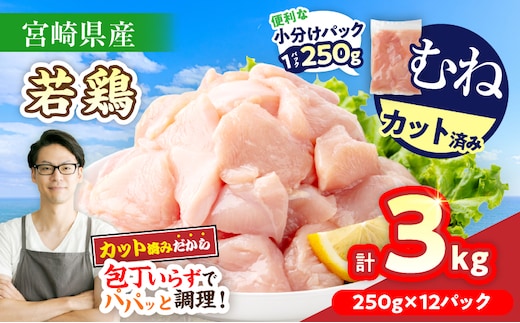 数量限定 宮崎県産 若鶏むね肉 切身 250g×12袋 計3kg 小分け 便利 冷凍 国産 真空パック カット済 簡単調理 サラダチキン 蒸し鶏 炒め物 高たんぱく 低カロリー おかず お弁当 おつまみ 低脂質 ヘルシー 人気 おすすめ グルメ 選べる 宮崎県 日南市 送料無料_BAV12-26