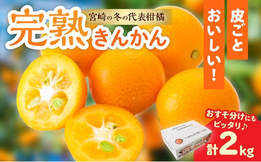完熟きんかん 計2kg 期間限定 数量限定 フルーツ 果物 くだもの 柑橘 金柑 国産 食品 デザート おやつ 甘露煮 ジャム まるごと 甘い ビタミン おすすめ ギフト プレゼント おすそ分け 産地直送 先行予約 令和8年発送 宮崎県 日南市 送料無料_BAV9-25