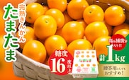 糖度16度以上 完熟 きんかん たまたま 計1kg以上 傷み補償分入り 宮崎 フルーツ 果物 くだもの ブランド 金柑 柑橘 令和9年発送 化粧箱入り 国産 食品 おすすめ ギフト 贈り物 贈答 ご褒美 お祝い おすそ分け 日南市 送料無料_BAV15-26