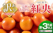 訳あり 先行予約 完熟 きんかん 紅央 計3kg以上 傷み補償分入り フルーツ 果物 数量限定 期間限定 訳アリ くだもの 柑橘 金柑 おすすめ おすそ分け 国産 食品 デザート ブランド 希少 ご家庭用 ご自宅用 お取り寄せ 特産品 産地直送 宮崎県 日南市 送料無料_BAV7-25