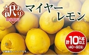 訳あり 先行予約 数量限定 マイヤーレモン 計10kg以上 フルーツ 果物 柑橘 レモン 檸檬 オレンジ 人気 おすすめ おすそ分け お土産 プレゼント お取り寄せ グルメ 国産 食品 デザート スイーツ ブランド 希少 特産品 産地直送 宮崎県 日南市 送料無料_BB130-23