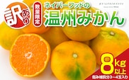 訳あり ネイバーフッド 温州みかん 計8kg以上 傷み補償分入り 期間限定 数量限定 フルーツ 果物 くだもの ミカン 柑橘 オレンジ 人気 国産 食品 デザート おやつ おすすめ 産地直送 ご家庭用 おすそ分け 特産品 宮崎県 日南市 送料無料_BB154-25