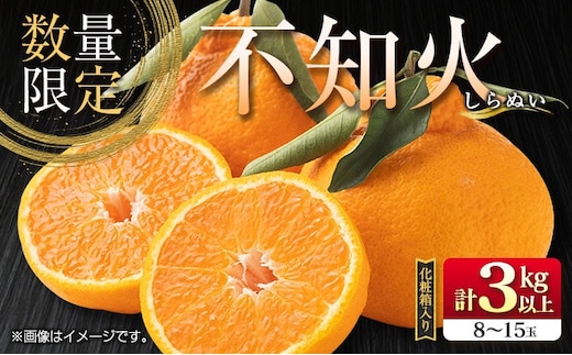 先行予約 不知火 計3kg以上 黒箱 化粧箱入り 期間限定 数量限定 果物 フルーツ くだもの 柑橘 みかん 令和8年発送 みかんジュース デザート おやつ 人気 おすすめ 国産 食品 ギフト 贈り物 贈答 ご褒美 お祝い 記念日 宮崎県 日南市 送料無料_BB140-24