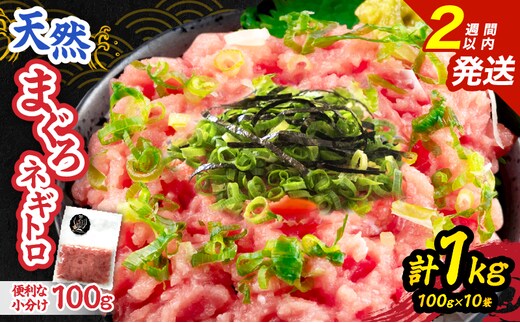 日南市油津港水揚げ 天然 まぐろ ネギトロ 計1kg 魚 魚介 マグロ 鮪 赤身 maguro 小分け 食品 加工品 国産 キハダマグロ まぐろたたき 個包装 おかず ねぎとろ丼 海鮮丼 手巻き寿司 おつまみ 冷凍 おすすめ 海産物 海鮮 宮崎県 日南市 送料無料_BC121-25