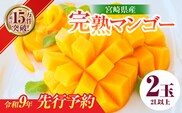 先行予約 宮崎県産 完熟 マンゴー 2L以上 2玉 令和9年発送 2027年 フルーツ 果物 くだもの 宮崎マンゴー 希少 濃厚 ご褒美 お祝い 国産 食品 おやつ デザート 産地直送 おすすめ 贈り物 贈答 ギフト プレゼント 選べる 日南市 送料無料_CB131-26