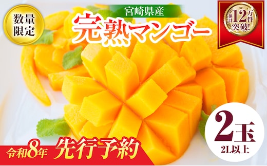 リピーター続出!!宮崎県産 完熟 マンゴー 2L以上×2玉 令和8年発送分 数量限定 フルーツ 果物 果汁 希少 濃厚 ジューシー 贅沢 上質 ご褒美 人気 国産 食品 おやつ デザート 産地直送 おすすめ ギフト プレゼント 贈り物 お土産 手土産 南国 日南市 送料無料_C123-24