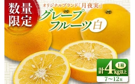 ★テレビで紹介された★ 数量限定 グレープフルーツ 月夜実 白 つくよみ 計4kg以上 期間限定 希少 完熟 果物 くだもの 柑橘 オリジナル ブランド 国産 食品 人気 おすすめ デザート スイーツ おやつ おすそ分け お取り寄せ グルメ 産地直送 宮崎県 日南市 送料無料_BC102-24