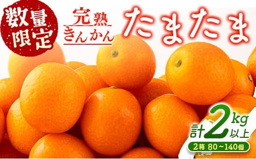 先行予約 完熟きんかん たまたま 計2kg以上 (1kg×2箱) 希少 期間限定 数量限定 フルーツ 果物 くだもの 柑橘 金柑 国産 食品 大粒 宮崎ブランド おすすめ デザート おやつ ギフト 贈り物 贈答 お返し お祝い おすそ分け 産地直送 日南市 送料無料_BC103-24