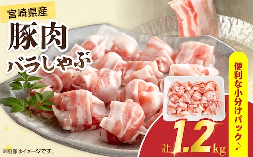 宮崎県産 豚肉 バラしゃぶ 計1.2kg 国産 食品 豚バラ スライス しゃぶしゃぶ 冷しゃぶ 鍋 炒め物 豚丼 焼肉 BBQ 個包装 小分け パック おすすめ おかず お弁当 晩ご飯 手軽 便利 万能食材 ギフト 贈り物 冷凍 日南市 送料無料_BC125-25