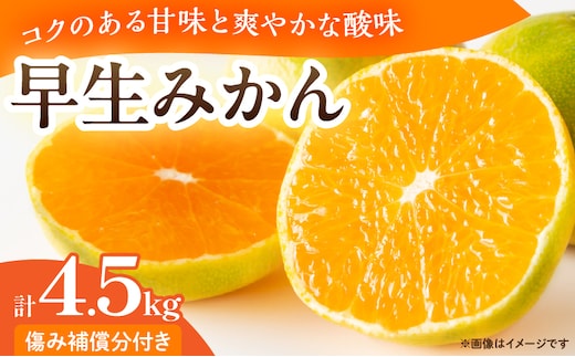 早生みかん 計4.5kg 傷み補償分付き 期間限定 果物 くだもの フルーツ 蜜柑 ミカン 柑橘 オレンジ おやつ デザート みかんジュース 飲み物 ビタミン補給 おすすめ おすそ分け 国産 食品 産地直送 お祝い お返し ギフト 贈り物 お土産 宮崎県 日南市 送料無料_BC126-25
