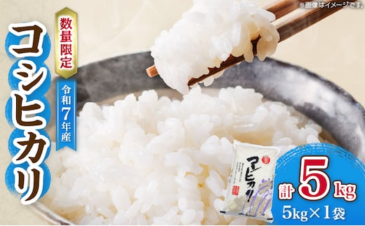 令和7年産 コシヒカリ 計5kg お米 ご飯 ライス 国産 数量限定 期間限定 人気 食品 精米 白米 こしひかり 有洗米 おにぎり お弁当 炊き込みご飯 雑炊 ギフト プレゼント 贈り物 お取り寄せ 産地直送 宮崎県 日南市 送料無料_BC134-25