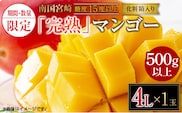 先行予約 数量限定 南国 宮崎 完熟マンゴー 4L × 1玉 A級品 化粧箱入り 期間限定 フルーツ スイーツ 果物 くだもの マンゴー 食品 デザート 国産 産地直送 人気 リピート おすすめ おやつ 高級 ご褒美 贅沢 贈り物 ギフト プレゼント 日南市 送料無料_BD101-24
