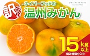 訳あり 温州みかん 計15kg以上 傷み補償分入り フルーツ 果物 くだもの ミカン 柑橘 オレンジ 国産 食品 デザート おやつ おすすめ 産地直送 ご家庭用 おすそ分け 特産品 ネイバーフッド 宮崎県 日南市 送料無料_CC89-26