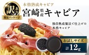 数量限定 訳あり 本格熟成キャビア 宮崎県産キャビア 12g 魚卵 魚介 魚貝 国産 食品 加工品 チョウザメ おつまみ 世界三大珍味 黒いダイヤ 水産物 贅沢 高級食材 上質 ご褒美 お祝い 記念日 フレッシュ お土産 おすすめ パーティー グルメ 冷凍 送料無料_BD126-26