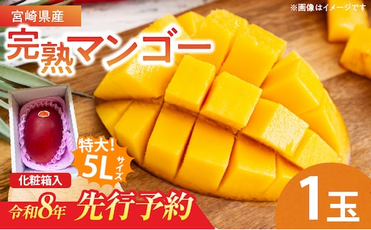 特大5Lサイズ 宮崎県産 完熟マンゴー 1玉 化粧箱入り 令和8年発送分 期間限定 数量限定 フルーツ 果物 くだもの 国産 食品 デザート おすすめ ご褒美 贅沢 産地直送 特大 希少 お祝 お土産 プレゼント ギフト 贈り物 宮崎県 日南市 送料無料_C107-23