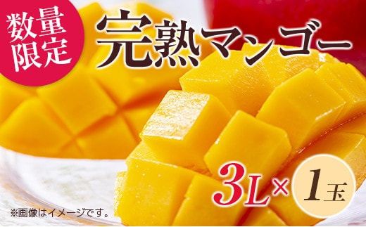数量限定 完熟マンゴー 3L×1玉 フルーツ 果物 くだもの 国産 期間限定 先行予約 食品 デザート おやつ 人気 おすすめ おすそ分け ご褒美 お祝 お取り寄せ グルメ 産地直送 お土産 ギフト プレゼント 贈り物 贈答品 宮崎県 日南市 送料無料_C166-26