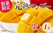 数量限定 完熟マンゴー 3L×1玉 フルーツ 果物 くだもの 国産 期間限定 先行予約 食品 デザート おやつ 人気 おすすめ おすそ分け ご褒美 お祝 お取り寄せ グルメ 産地直送 お土産 ギフト プレゼント 贈り物 贈答品 宮崎県 日南市 送料無料_C166-26