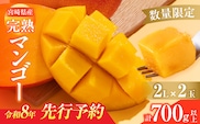 数量限定 宮崎県産 完熟マンゴー 2L×2玉 計700g以上 期間限定 フルーツ スイーツ 果物 くだもの 食品 グルメ デザート 国産 産地直送 人気 おすすめ おやつ 高級 ご褒美 贅沢 贈り物 ギフト プレゼント 令和8年発送分 宮崎県 日南市 送料無料_C142-25