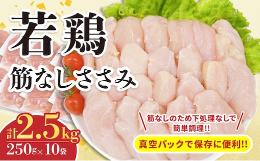 若鶏 筋なし ささみ 計2.5kg 鶏肉 国産 チキン ササミ 人気 小分け 便利 おかず お弁当 食品 真空パック ヘルシー 高タンパク 低カロリー 焼肉 唐揚げ サラダ グルメ お取り寄せ おすすめ ご褒美 記念日 お祝い おすそ分け 日南市 宮崎県 送料無料_C131-24
