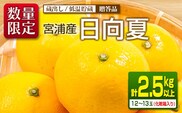 先行予約 宮浦産 蔵出し 日向夏 計2.5kg以上 化粧箱入り 期間限定 数量限定 フルーツ 果物 くだもの 柑橘 みかん 令和8年発送 国産 産地直送 新鮮 食品 ジュース デザート おやつ ギフト 贈り物 贈答 お返し お礼 手土産 おすそ分け 宮崎県 日南市 送料無料_BC130-25