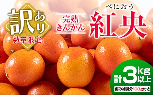 先行予約 訳あり 完熟 きんかん 紅央 計3kg以上 傷み補償分入り 数量限定 期間限定 訳アリ フルーツ 果物 くだもの 柑橘 金柑 おすすめ おすそ分け 国産 食品 デザート ブランド 希少 ご家庭用 ご自宅用 お取り寄せ 特産品 産地直送 宮崎県 日南市 送料無料_BAV7-25