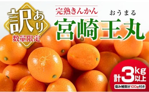 先行予約 訳あり 完熟 きんかん 宮崎王丸 計3kg以上 傷み補償分入り 数量限定 期間限定 フルーツ 果物 くだもの 柑橘 金柑 訳アリ おすすめ おすそ分け ご家庭用 ご自宅用 お取り寄せ 国産 食品 デザート おやつ 甘露煮 産地直送 宮崎県 日南市 送料無料_B245-25