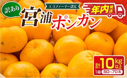 年内発送 訳あり 宮浦 ポンカン 10kg 先行予約 フルーツ 果物 くだもの 柑橘 みかん 蜜柑 ワケアリ 不揃い 国産 食品 おやつ デザート みかんジュース おすすめ 旬 ご家庭用 自宅用 傷 おすそ分け 産地直送 選べる 宮崎県 日南市 送料無料_CD105-26