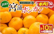 年内発送 訳あり 宮浦 ポンカン 10kg 先行予約 フルーツ 果物 くだもの 柑橘 みかん 蜜柑 ワケアリ 不揃い 国産 食品 おやつ デザート みかんジュース おすすめ 旬 ご家庭用 自宅用 傷 おすそ分け 産地直送 選べる 宮崎県 日南市 送料無料_CD105-26