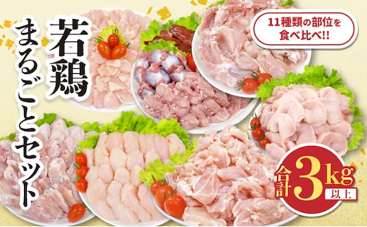 若鶏 まるごと セット 合計3kg以上 鶏肉 国産 チキン 鶏もも肉 鶏むね肉 切身 ささみ 肝 砂肝 小肉 手羽先 手羽中 手羽元 肩肉 骨付きもも 人気 小分け おかず お弁当 食品 真空パック BBQ お取り寄せ おすすめ 記念日 お祝い おすそ分け 日南市 宮崎県 送料無料_CB126-26