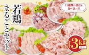 若鶏 まるごと セット 合計3kg以上 鶏肉 国産 チキン 鶏もも肉 鶏むね肉 切身 ささみ 肝 砂肝 小肉 手羽先 手羽中 手羽元 肩肉 骨付きもも 人気 小分け おかず お弁当 食品 真空パック BBQ お取り寄せ おすすめ 記念日 お祝い おすそ分け 日南市 宮崎県 送料無料_CB126-26