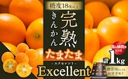 糖度18度以上!! 完熟きんかん たまたま エクセレント 計1kg 傷み補償分入り フルーツ 果物 柑橘 金柑 国産 食品 A品 2L ブランド 大粒 極甘 デザート おすすめ ギフト プレゼント 贈り物 贈答 先行予約 宮崎県 日南市 送料無料_D134-26