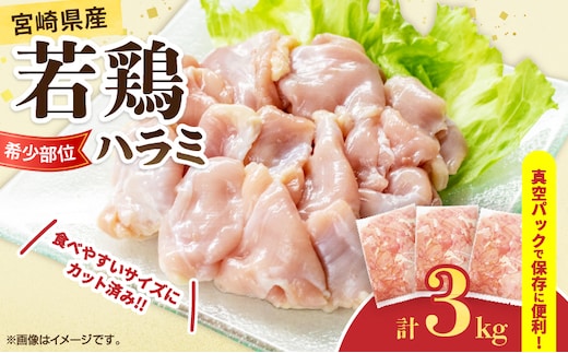 希少部位 宮崎県産 若鶏 ハラミ 計3kg 鶏肉 とり 鳥 国産 小分け 真空パック おかず お弁当 おつまみ 食品 チキン 簡単調理 鶏飯 焼き鳥 焼肉 炒め物 揚げ物 唐揚げ チキンカレー おすすめ 贈り物 ギフト おすそ分け 冷凍 宮崎県 日南市 送料無料_CB107-25