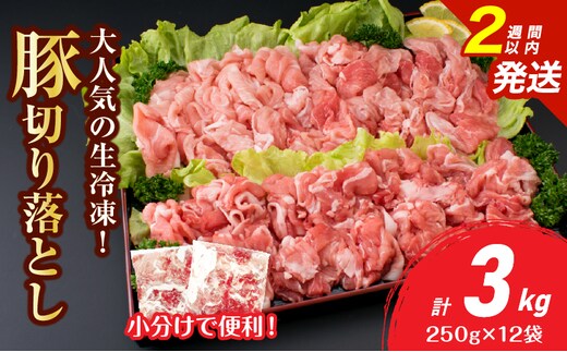 大人気 生冷凍 厳選 豚切り落とし 計3kg 国産 食品 豚肉 ぶた ポーク 小分け 個包装 真空パック 便利 大容量 生姜焼き 野菜炒め 豚汁 肉じゃが 豚丼 お弁当 おかず 晩ご飯 おすすめ 使い切りサイズ 万能食材 おすそ分け 宮崎県 日南市 送料無料_CB111-25-2W
