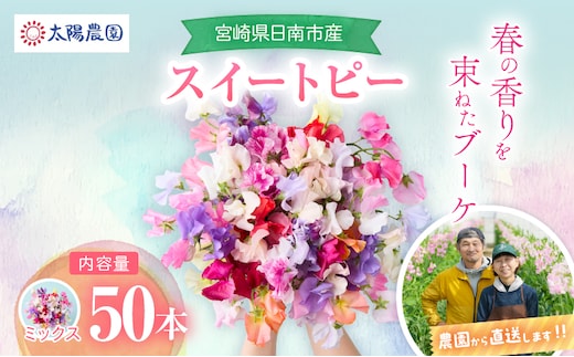 スイートピー 花束 50本 ミックス系 フラワー 期間限定 数量限定 生産者直送 新鮮 花 植物 観賞用 国産 インテリア用品 贈り物 ギフト プレゼント お祝い 誕生日 記念日 人気 おすすめ 癒し 選べる 宮崎県 日南市 送料無料_CB123-26
