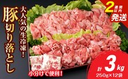 大人気 生冷凍 厳選 豚切り落とし 計3kg 国産 食品 豚肉 ぶた ポーク 小分け 個包装 真空パック 便利 大容量 生姜焼き 野菜炒め 豚汁 肉じゃが 豚丼 お弁当 おかず 晩ご飯 おすすめ 使い切りサイズ 万能食材 おすそ分け 宮崎県 日南市 送料無料_CB111-25-2W