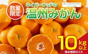 ネイバーフッド 温州みかん 計10kg以上 傷み補償分入り 期間限定 数量限定 フルーツ 果物 くだもの ミカン 柑橘 オレンジ 人気 国産 食品 デザート おやつ おすすめ 産地直送 おすそ分け ギフト 贈り物 特産品 宮崎県 日南市 送料無料_CB121-26