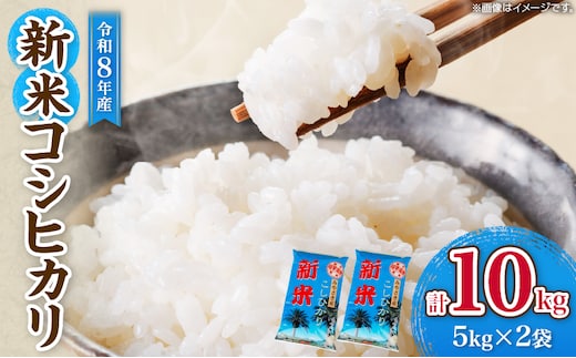 令和8年産 新米 コシヒカリ 計10kg お米 ご飯 ライス 国産 食品 精米 白米 こしひかり 有洗米 おにぎり お弁当 炊き込みご飯 雑炊 ギフト プレゼント 贈り物 お取り寄せ 産地直送 宮崎県 日南市 送料無料_D131-26