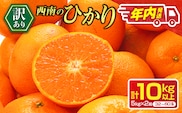 年内お届け 先行予約 訳あり 西南のひかり 10kg 希少 2026 12月発送 不揃い フルーツ くだもの 果物みかん 柑橘 蜜柑 オレンジ 国産 食品 デザート おやつ みかんジュース おすそ分け 家庭用 おすすめ 常温 選べる 宮崎県 日南市 送料無料_DA87-26