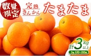 先行予約 完熟きんかん たまたま 計3kg以上 (1kg×3箱) 希少 期間限定 数量限定 フルーツ 果物 くだもの 柑橘 金柑 国産 食品 大粒 宮崎ブランド おすすめ デザート おやつ ギフト 贈り物 贈答 お返し お祝い おすそ分け 産地直送 日南市 送料無料_CC30-23