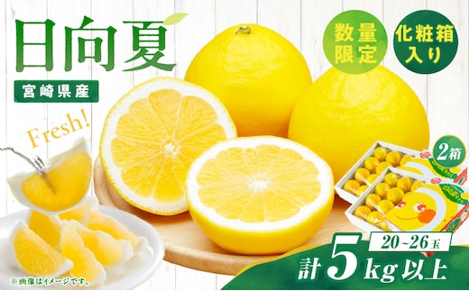 先行予約 日向夏 計5kg以上 化粧箱入り 期間限定 数量限定 果物 フルーツ くだもの 柑橘 みかん 令和8年発送 ジュース フルーツサンド おやつ デザート 国産 食品 おすすめ ギフト 贈り物 贈答 おすそ分け お祝い お返し 宮崎県 日南市 送料無料_CC74-25