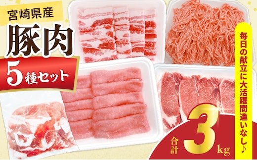 宮崎県産 豚肉 5種 セット (合計3kg) 国産 食品 豚バラ 切り落とし ロース スライス ミンチ 焼肉 BBQ しゃぶしゃぶ 生姜焼き とんかつ ソテー 豚丼 ハンバーグ 個包装 小分け おすすめ おかず お弁当 晩ご飯 手軽 便利 ギフト 贈り物 冷凍 日南市 送料無料_CC69-25