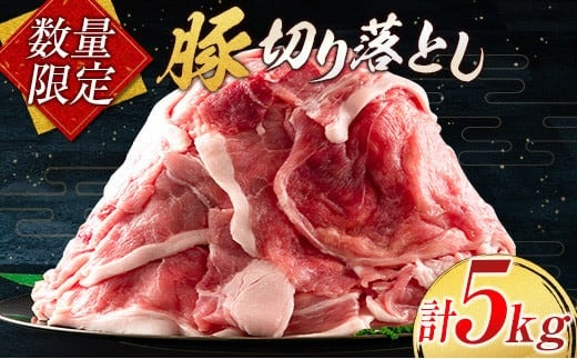 小分けで便利 数量限定 豚 切り落とし 計5kg お肉 豚肉 ポーク 国産 小分け 真空パック 個包装 万能食材 おすすめ おかず 食品 炒め物 お弁当 豚丼 豚しゃぶ しゃぶしゃぶ 焼肉 お祝い 記念日 ギフト 贈り物 贈答 プレゼント おすそ分け 宮崎県 日南市 送料無料_CD61-24